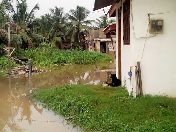 Floods 2018 May